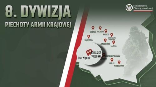 ВС Польши формируют новую дивизию